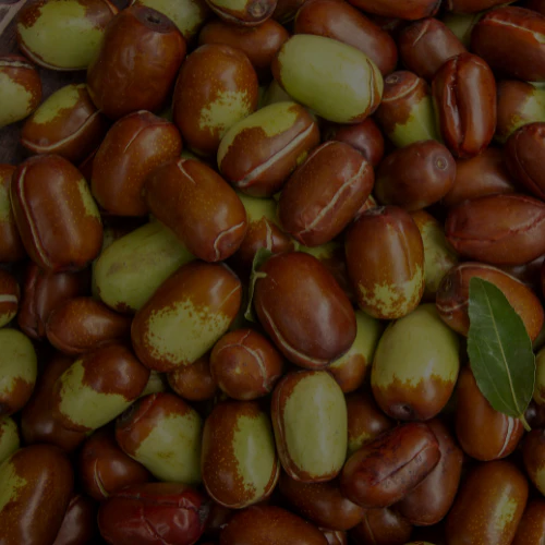 Jojoba Oil