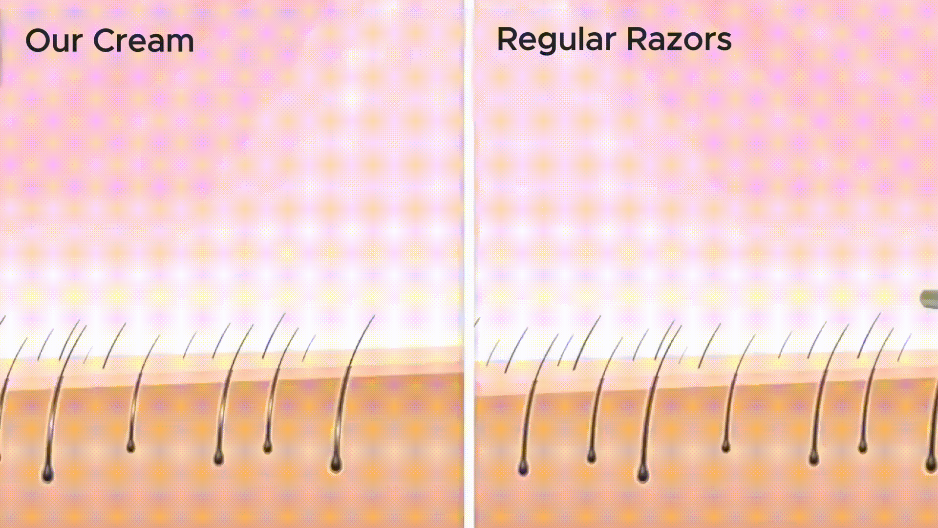 Root-Dissolve Mechanism